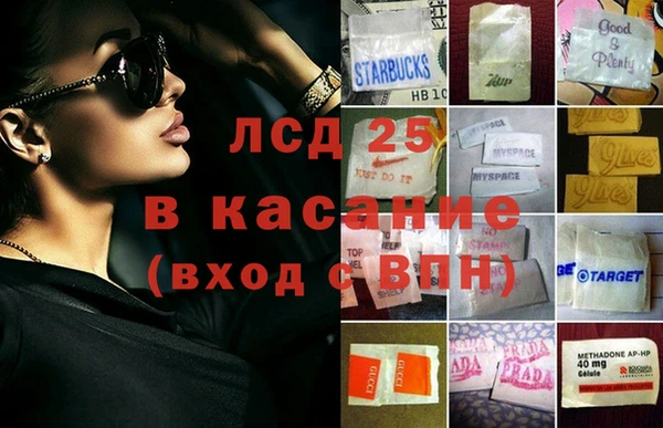 гидра Бердск