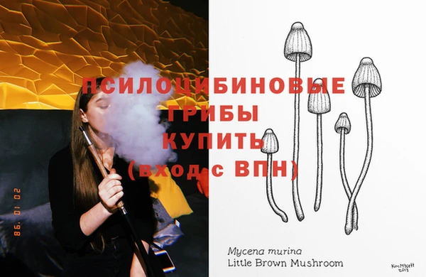 а пвп мука Мегион