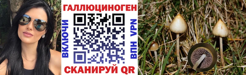 Псилоцибиновые грибы Psilocybe  это официальный сайт  Дно 